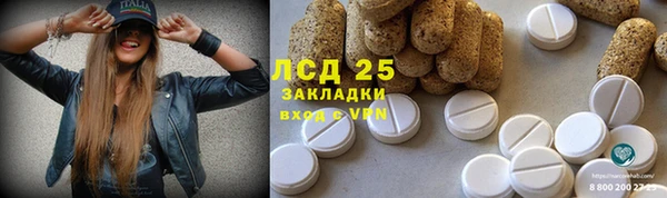 ГАЛЛЮЦИНОГЕННЫЕ ГРИБЫ Киренск