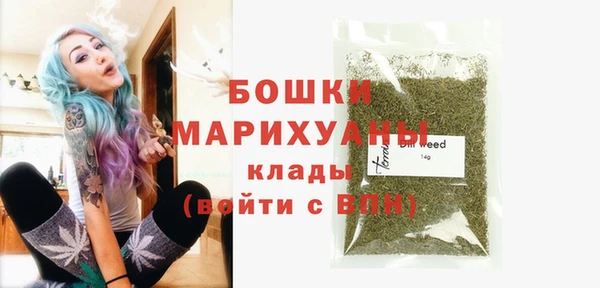 шишки Козловка