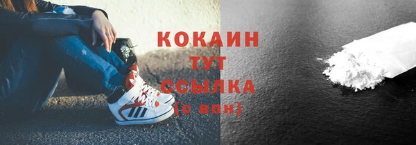 шишки Козловка