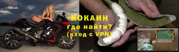 шишки Козловка
