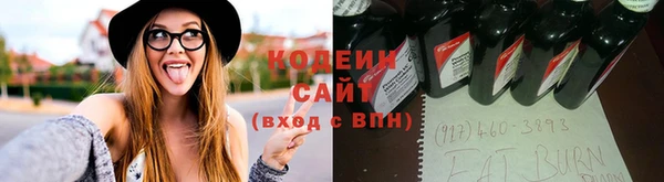 ПСИЛОЦИБИНОВЫЕ ГРИБЫ Кодинск