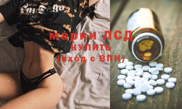 ПСИЛОЦИБИНОВЫЕ ГРИБЫ Кодинск