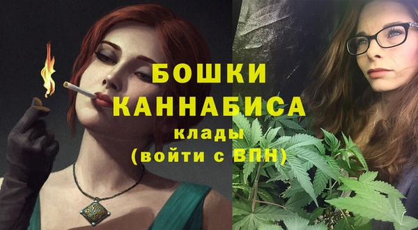шишки Козловка